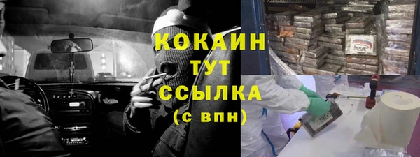 прущие грибы Арсеньев