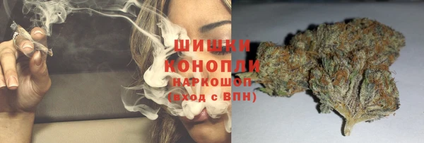 прущие грибы Арсеньев