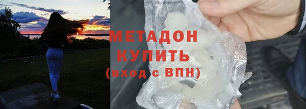 прущие грибы Арсеньев