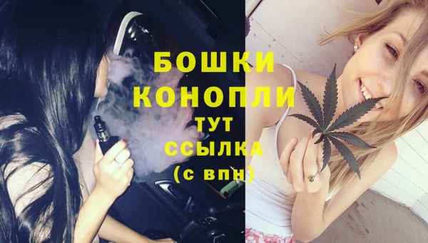 прущие грибы Арсеньев