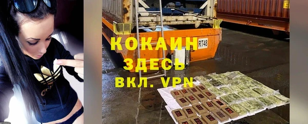 прущие грибы Арсеньев